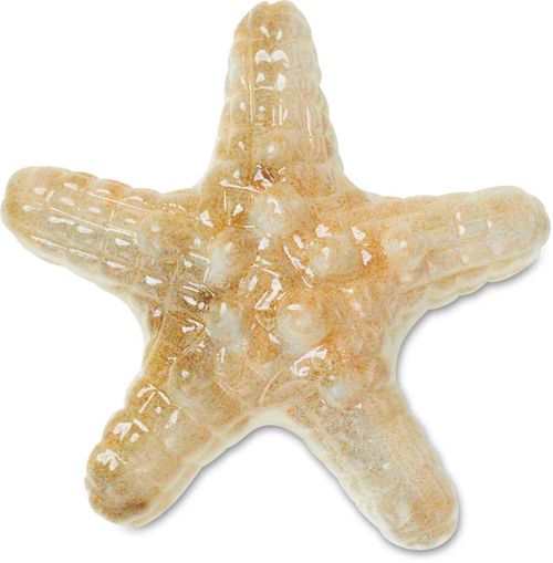 Jibbitz™ Natural Star Fish