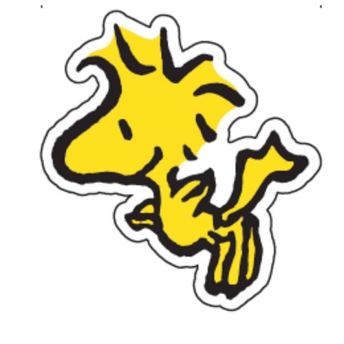 Jibbitz™ Peanuts Woodstock